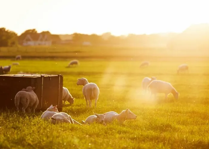 Village de vacances Landal Sluftervallei